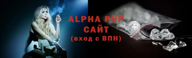 гашик Нефтекумск