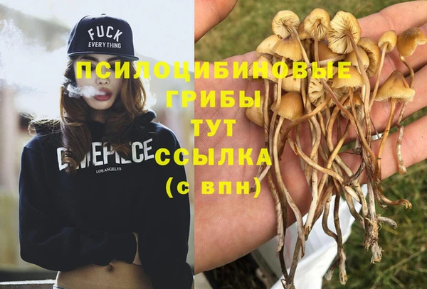 мяу мяу мука Нефтегорск