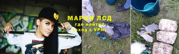 гашик Нефтекумск