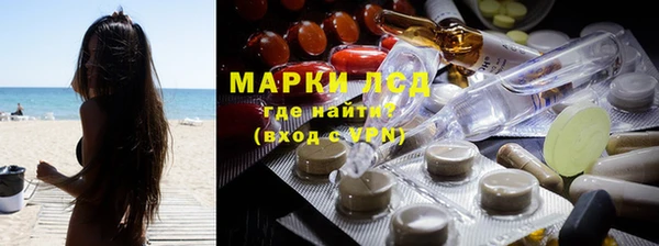 гашик Нефтекумск