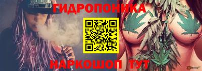 apvp Кинель