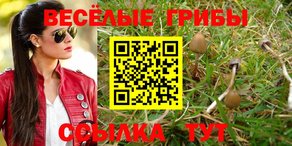 Нижневартовск  Псилоцибиновые грибы прущие грибы  Галлюциногенные грибы MAGIC MUSHROOMS  Вход с VPN 