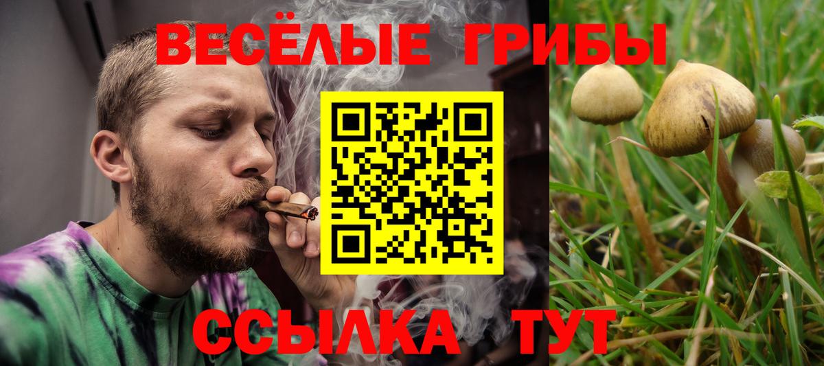 Галлюциногенные грибы мицелий Нижневартовск